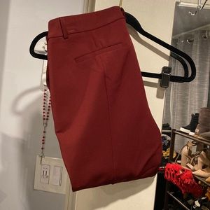 Express maroon pants
